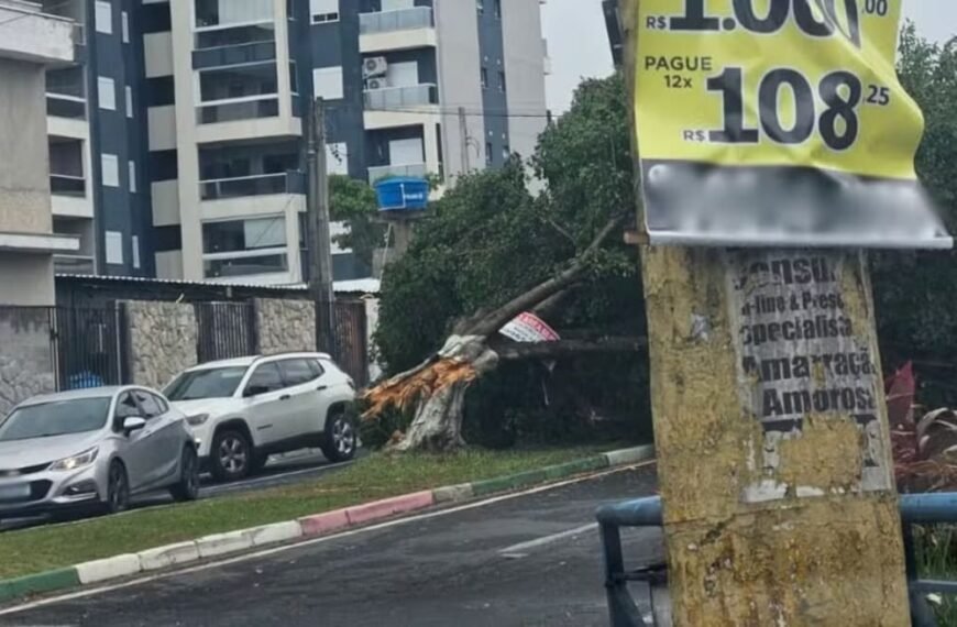 Vendaval e chuva forte derriba árvores em bairros da cidade de Sorocaba nesta segunda feira 08 de dezembro de 2025